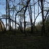 DSCN0704